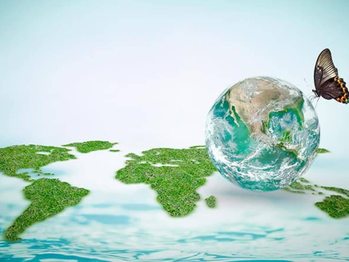 Carte du monde en herbe sur un fond d'eau avec une photo d'une planete à droite et un papillon.