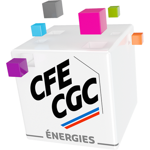 Portrait militant - CFE Énergies