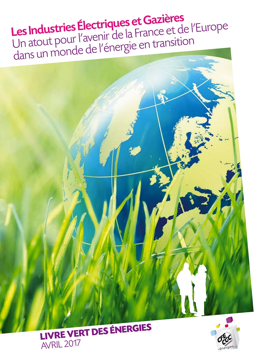 Couverture Livre vert des énergies