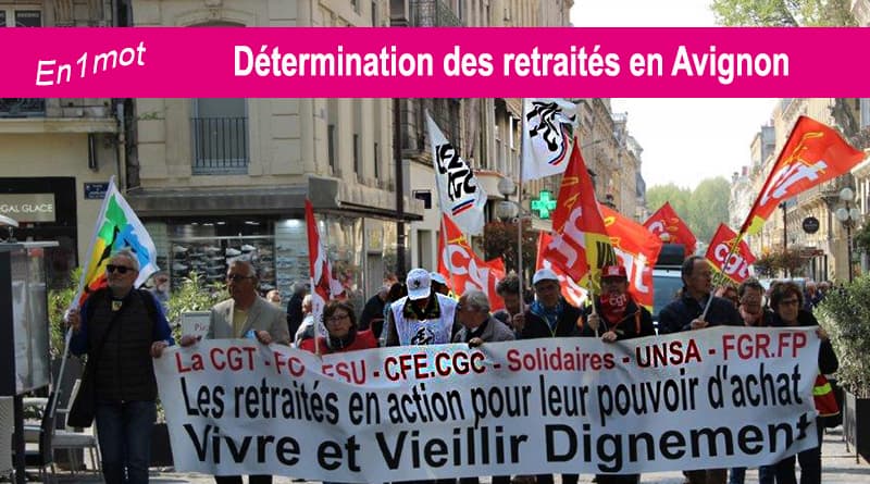 La Cfe Cgc Dignement Representee A La Manifestation Des Retraites Cfe Energies